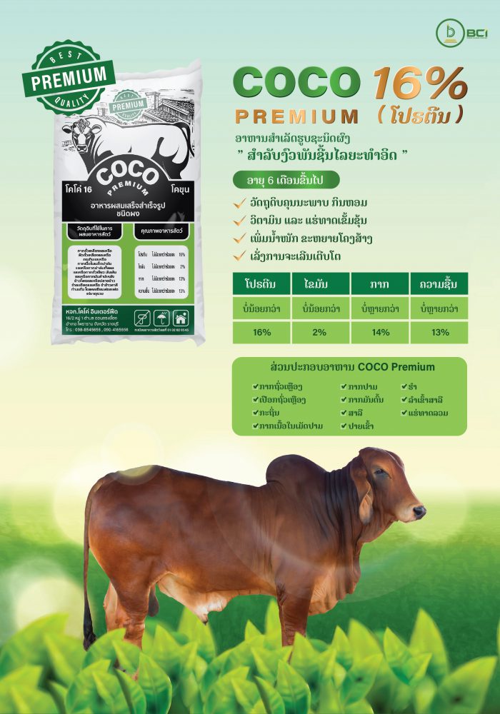 A4_Brochure Coco Premium_13012022