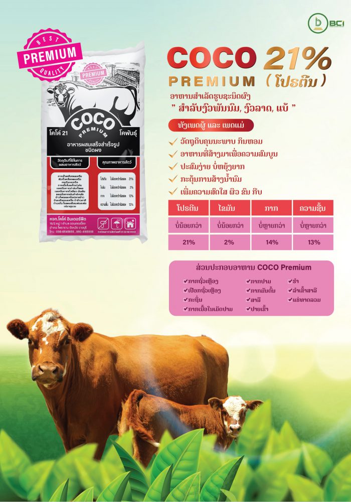 A4_Brochure Coco Premium_13012022