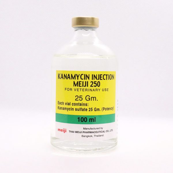ຢາຕ້ານເຊື້ອ ການາມາຍຊິນ Kanamycin BCI