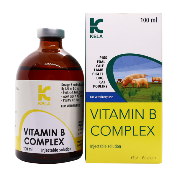 VITAMIN B COMPLLEX 05 600x600