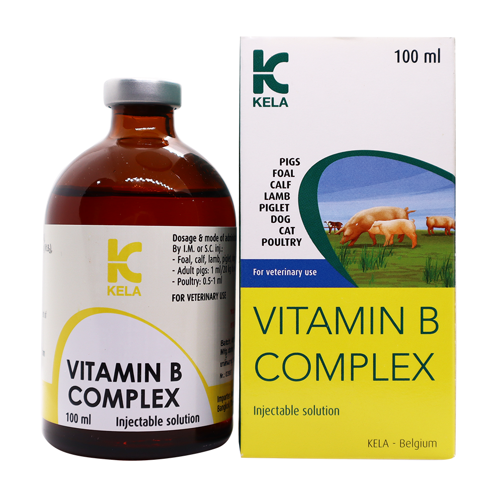 Vitamin B complex ວິຕາມິນ ບີ ລວມ BCI